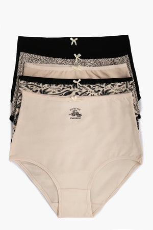 Pack of 5 colorful high waisted panties
