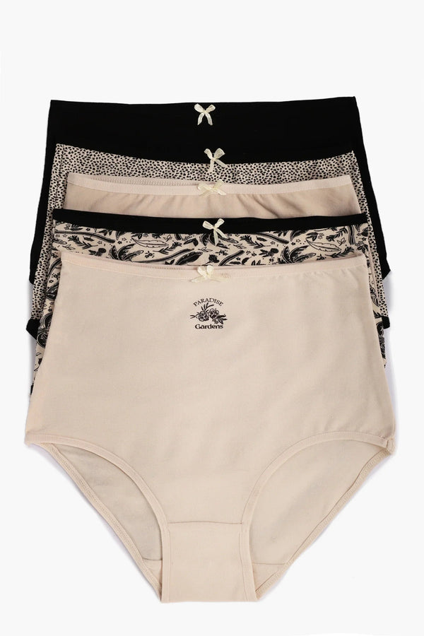 Pack of 5 colorful high waisted panties