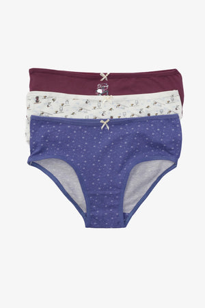 Pack of 3 colorful briefs