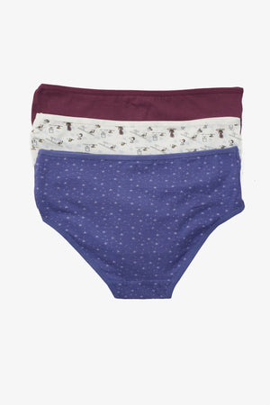 Pack of 3 colorful briefs