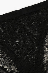 سروال داخلي بريف دانتيل - Carinasaudi.com