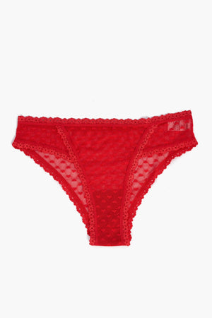 lace bikini panty
