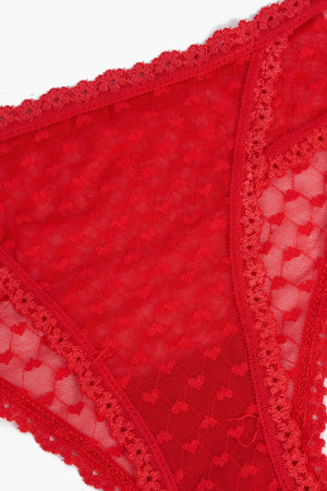 lace bikini panty