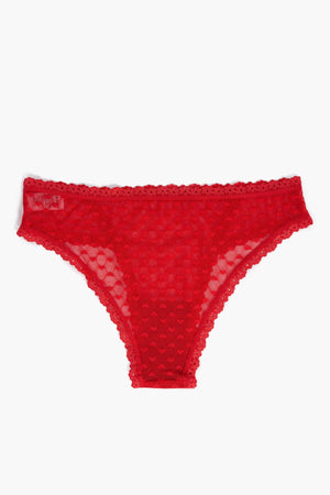 lace bikini panty
